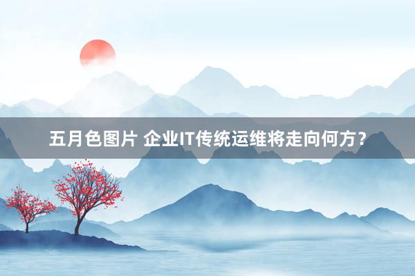 五月色图片 企业IT传统运维将走向何方？