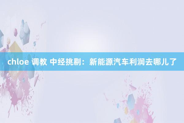 chloe 调教 中经挑剔：新能源汽车利润去哪儿了