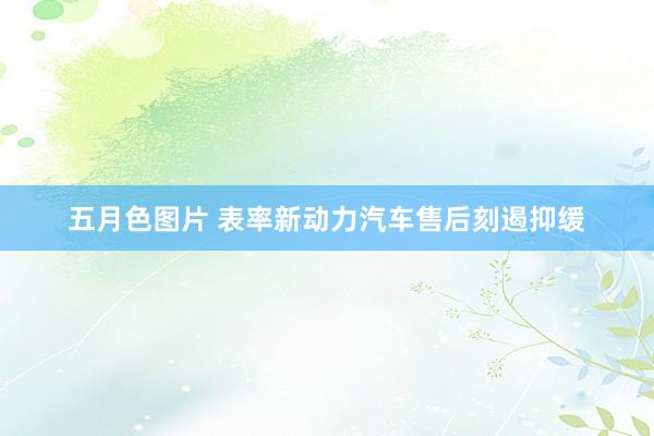 五月色图片 表率新动力汽车售后刻遏抑缓