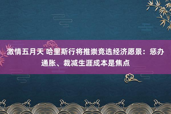 激情五月天 哈里斯行将推崇竞选经济愿景：惩办通胀、裁减生涯成本是焦点