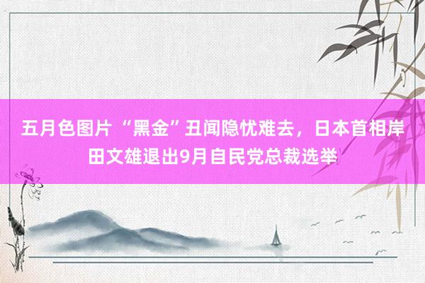 五月色图片 “黑金”丑闻隐忧难去，日本首相岸田文雄退出9月自民党总裁选举