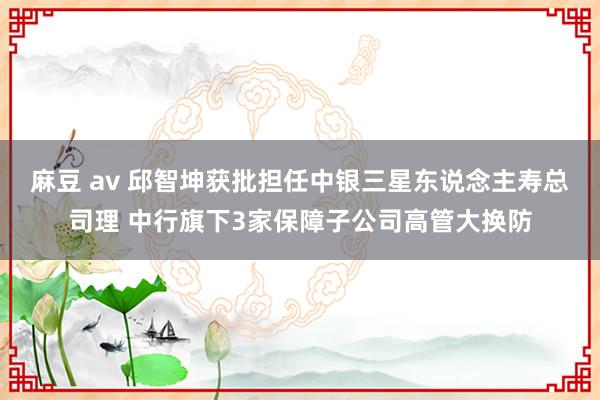 麻豆 av 邱智坤获批担任中银三星东说念主寿总司理 中行旗下3家保障子公司高管大换防