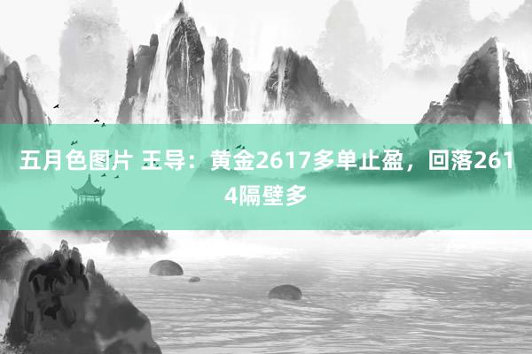 五月色图片 王导：黄金2617多单止盈，回落2614隔壁多