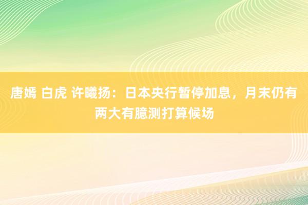 唐嫣 白虎 许曦扬：日本央行暂停加息，月末仍有两大有臆测打算候场