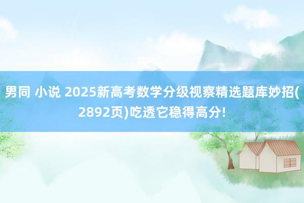 男同 小说 2025新高考数学分级视察精选题库妙招(2892页)吃透它稳得高分!