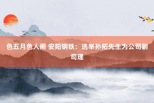 色五月色人阁 安阳钢铁：选举孙拓先生为公司副司理