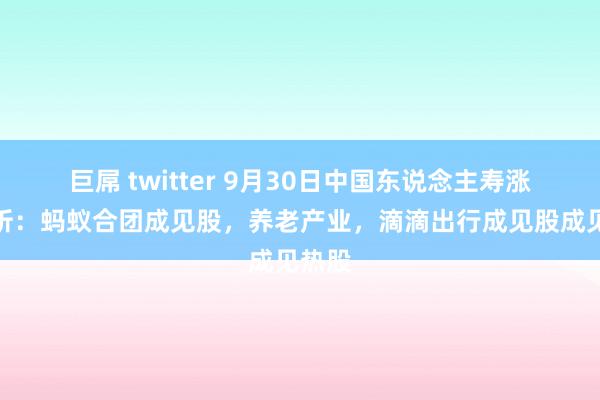 巨屌 twitter 9月30日中国东说念主寿涨停分析：蚂蚁合团成见股，养老产业，滴滴出行成见股成见热股