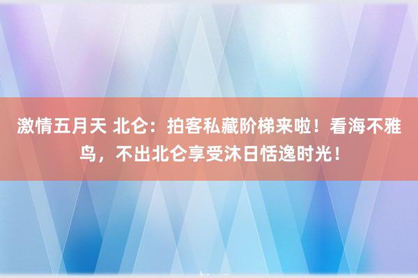 激情五月天 北仑：拍客私藏阶梯来啦！看海不雅鸟，不出北仑享受沐日恬逸时光！