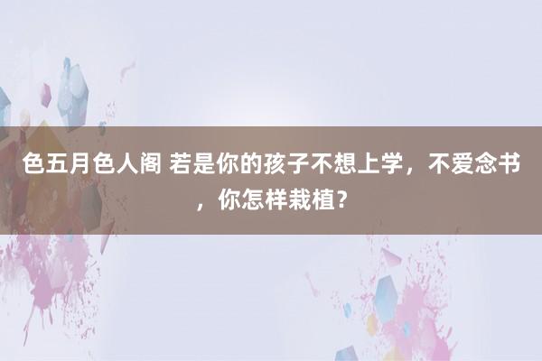 色五月色人阁 若是你的孩子不想上学，不爱念书，你怎样栽植？