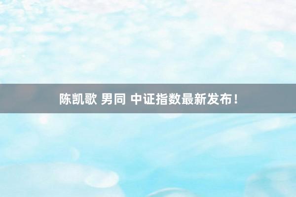 陈凯歌 男同 中证指数最新发布！