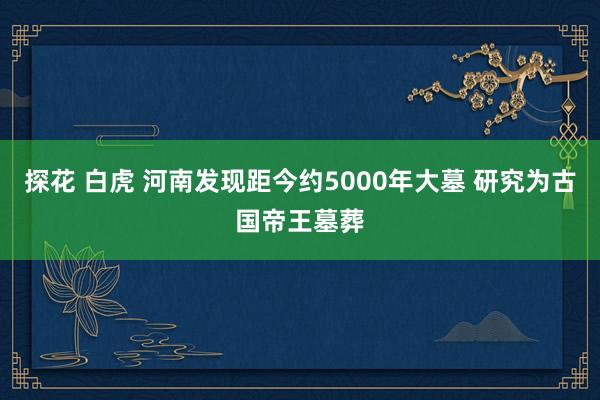 探花 白虎 河南发现距今约5000年大墓 研究为古国帝王墓葬