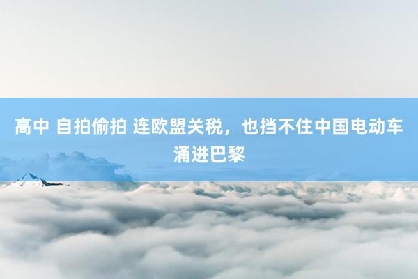 高中 自拍偷拍 连欧盟关税，也挡不住中国电动车涌进巴黎