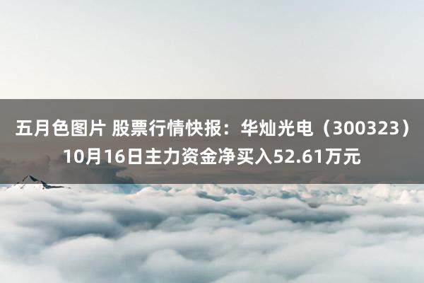 五月色图片 股票行情快报：华灿光电（300323）10月16日主力资金净买入52.61万元