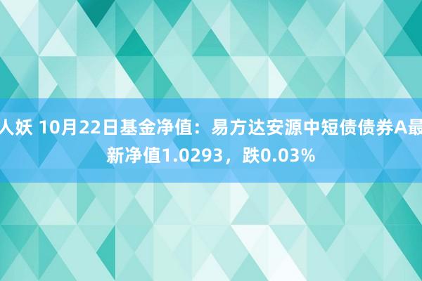 人妖 10月22日基金净值：易方达安源中短债债券A最新净值1.0293，跌0.03%