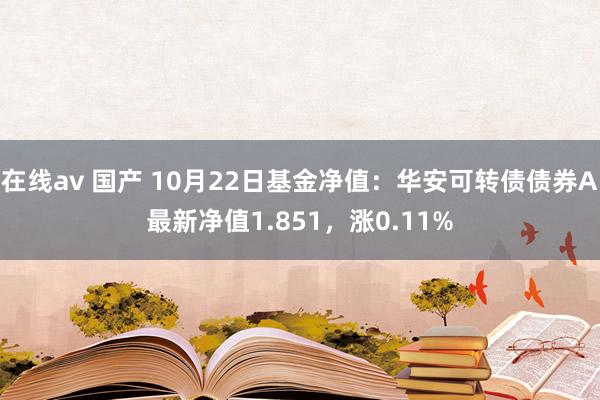 在线av 国产 10月22日基金净值：华安可转债债券A最新净值1.851，涨0.11%