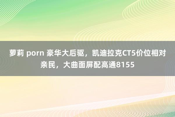 萝莉 porn 豪华大后驱，凯迪拉克CT5价位相对亲民，大曲面屏配高通8155