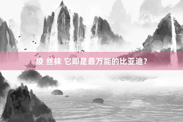 绫 丝袜 它即是最万能的比亚迪？