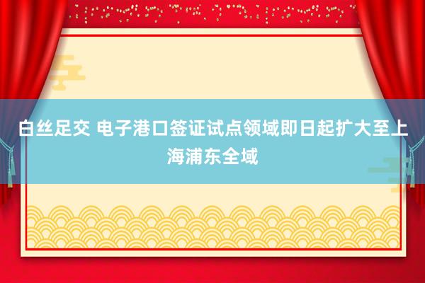 白丝足交 电子港口签证试点领域即日起扩大至上海浦东全域