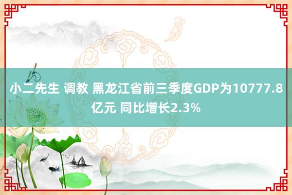 小二先生 调教 黑龙江省前三季度GDP为10777.8亿元 同比增长2.3%