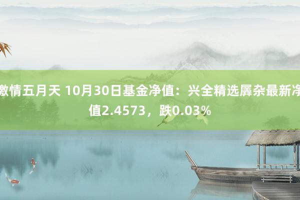 激情五月天 10月30日基金净值：兴全精选羼杂最新净值2.4573，跌0.03%