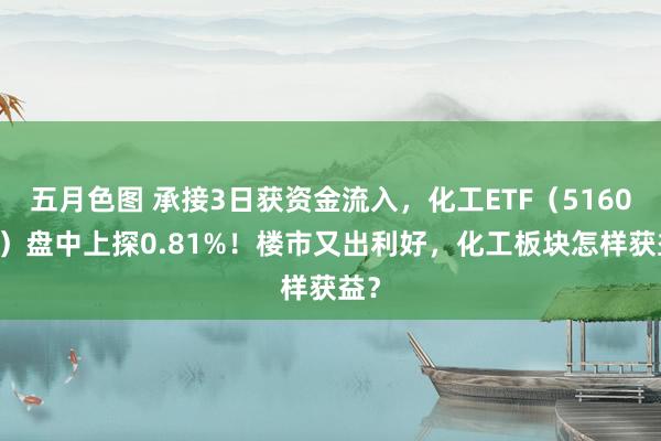 五月色图 承接3日获资金流入，化工ETF（516020）盘中上探0.81%！楼市又出利好，化工板块怎样获益？