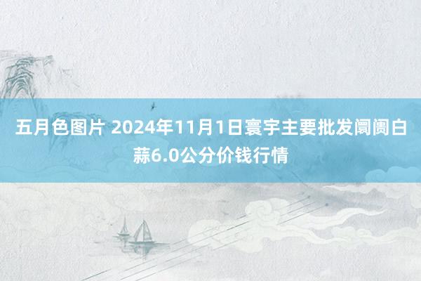 五月色图片 2024年11月1日寰宇主要批发阛阓白蒜6.0公分价钱行情