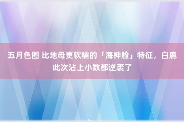 五月色图 比地母更软糯的「海神脸」特征，白鹿此次沾上小数都逆袭了