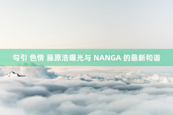 勾引 色情 藤原浩曝光与 NANGA 的最新和谐