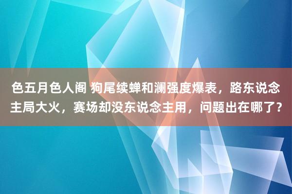 色五月色人阁 狗尾续蝉和澜强度爆表，路东说念主局大火，赛场却没东说念主用，问题出在哪了？