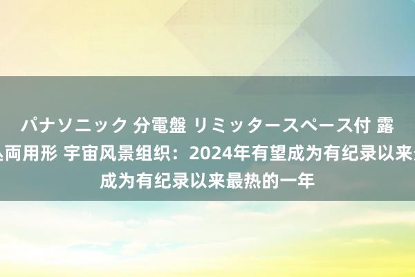 パナソニック 分電盤 リミッタースペース付 露出・半埋込両用形 宇宙风景组织：2024年有望成为有纪录以来最热的一年