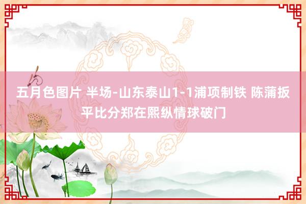 五月色图片 半场-山东泰山1-1浦项制铁 陈蒲扳平比分郑在熙纵情球破门