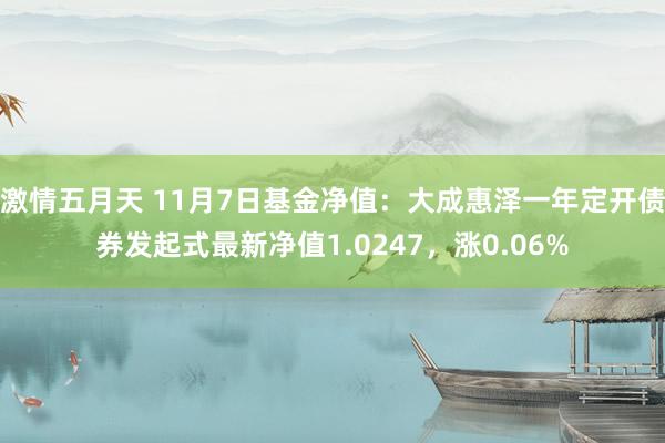 激情五月天 11月7日基金净值：大成惠泽一年定开债券发起式最新净值1.0247，涨0.06%