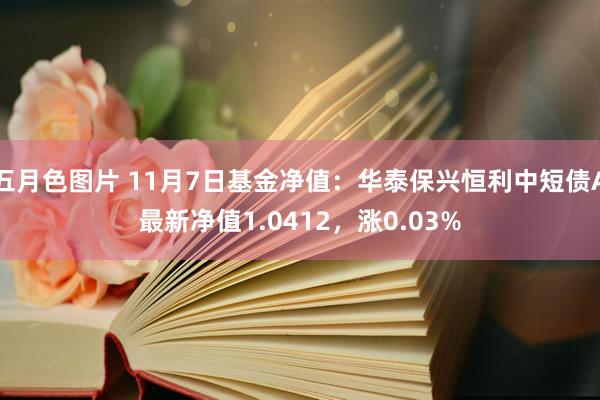 五月色图片 11月7日基金净值：华泰保兴恒利中短债A最新净值1.0412，涨0.03%