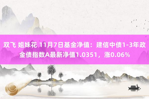 双飞 姐妹花 11月7日基金净值：建信中债1-3年政金债指数A最新净值1.0351，涨0.06%