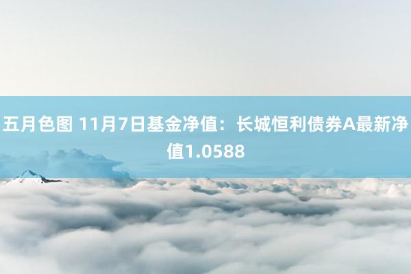 五月色图 11月7日基金净值：长城恒利债券A最新净值1.0588