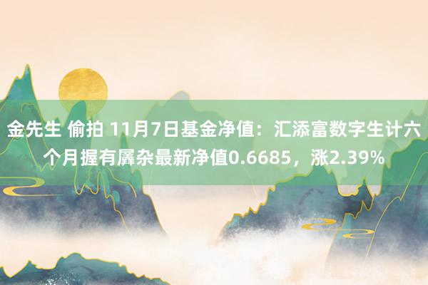 金先生 偷拍 11月7日基金净值：汇添富数字生计六个月握有羼杂最新净值0.6685，涨2.39%