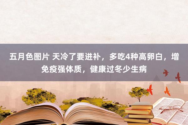 五月色图片 天冷了要进补，多吃4种高卵白，增免疫强体质，健康过冬少生病