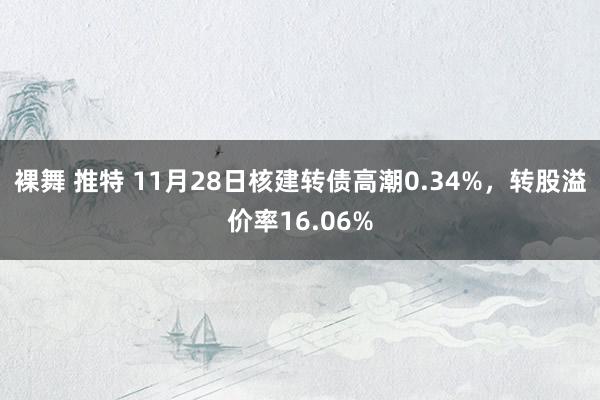 裸舞 推特 11月28日核建转债高潮0.34%，转股溢价率16.06%