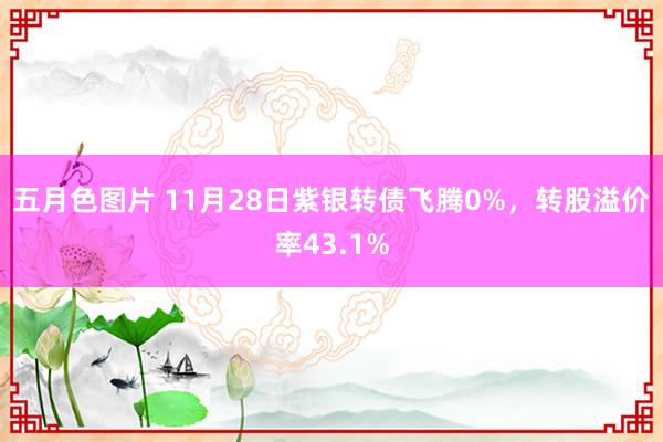 五月色图片 11月28日紫银转债飞腾0%，转股溢价率43.1%