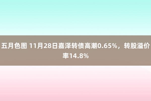 五月色图 11月28日嘉泽转债高潮0.65%，转股溢价率14.8%