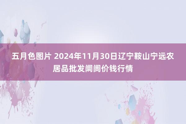 五月色图片 2024年11月30日辽宁鞍山宁远农居品批发阛阓价钱行情