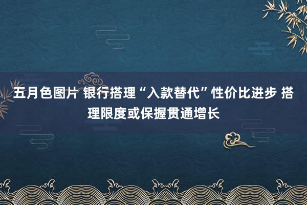 五月色图片 银行搭理“入款替代”性价比进步 搭理限度或保握贯通增长