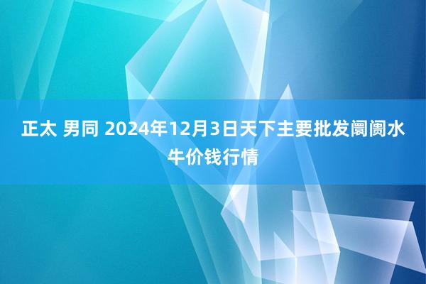 正太 男同 2024年12月3日天下主要批发阛阓水牛价钱行情