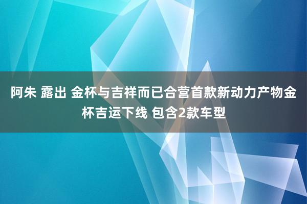 阿朱 露出 金杯与吉祥而已合营首款新动力产物金杯吉运下线 包含2款车型