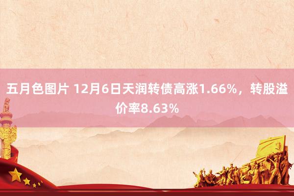 五月色图片 12月6日天润转债高涨1.66%，转股溢价率8.63%