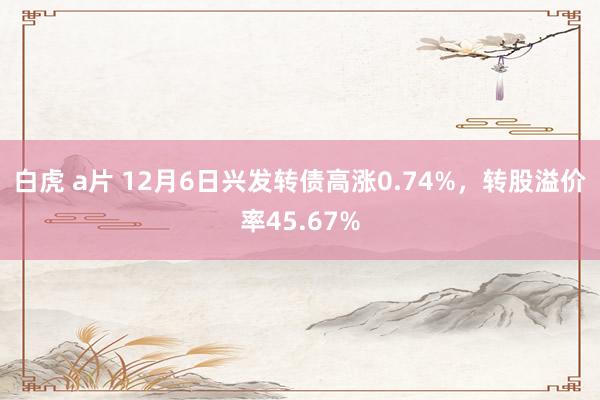 白虎 a片 12月6日兴发转债高涨0.74%，转股溢价率45.67%