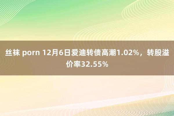 丝袜 porn 12月6日爱迪转债高潮1.02%，转股溢价率32.55%