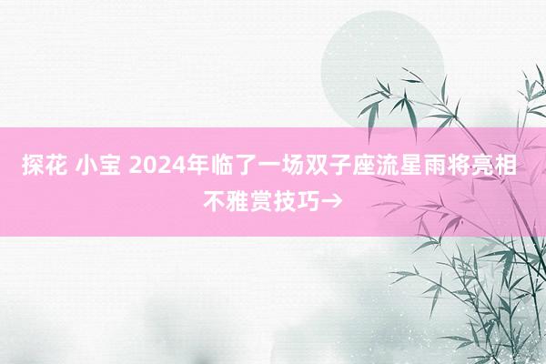 探花 小宝 2024年临了一场双子座流星雨将亮相 不雅赏技巧→