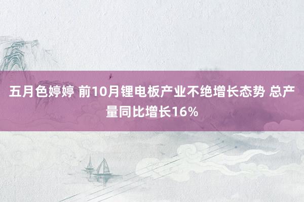 五月色婷婷 前10月锂电板产业不绝增长态势 总产量同比增长16%