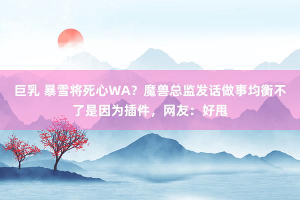 巨乳 暴雪将死心WA？魔兽总监发话做事均衡不了是因为插件，网友：好甩